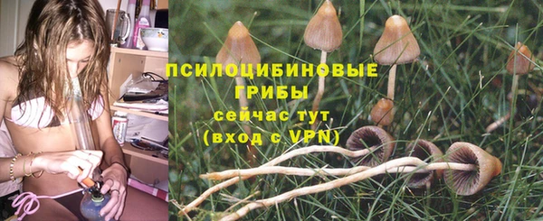 прущие крисы Бугульма